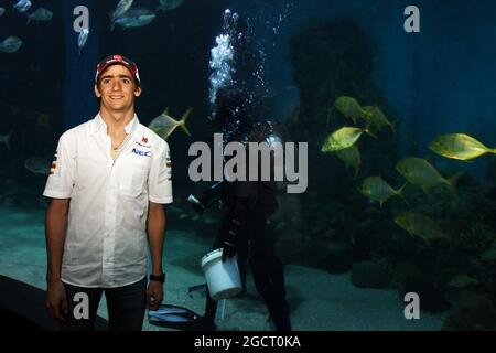 Esteban Gutierrez (MEX) sauber im Melbourne Aquarium. Großer Preis von Australien, Mittwoch, 13. März 2013. Albert Park, Melbourne, Australien. Stockfoto