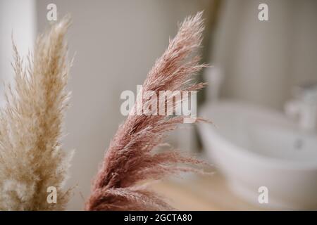 Pampas Gras im Innenraum Og Badezimmer. Boho-Stil in natürlichen Farbtönen und neutralen Farben. Stockfoto