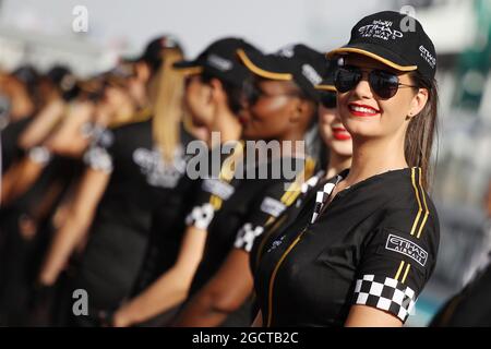 Grid-Mädchen. Abu Dhabi Grand Prix, Sonntag, 3. November 2013. Yas Marina Circuit, Abu Dhabi, VAE. Stockfoto