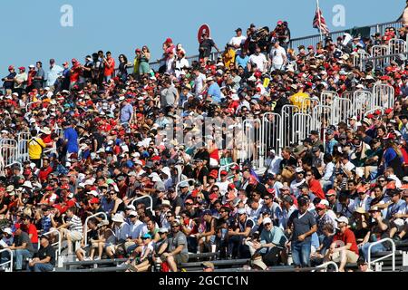 Lüfter. Großer Preis der Vereinigten Staaten, Sonntag, 17. November 2013. Circuit of the Americas, Austin, Texas, USA. Stockfoto