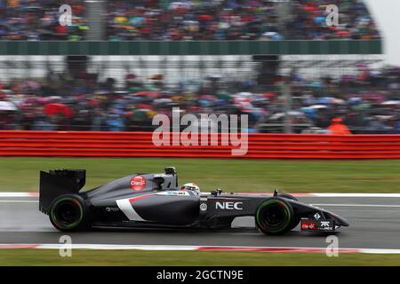 Adrian Sutil (GER) sauber C33. Großer Preis von Großbritannien, Samstag, 5. Juli 2014. Silverstone, England. Stockfoto