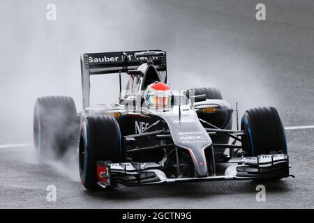 Adrian Sutil (GER) sauber C33. Großer Preis von Großbritannien, Samstag, 5. Juli 2014. Silverstone, England. Stockfoto