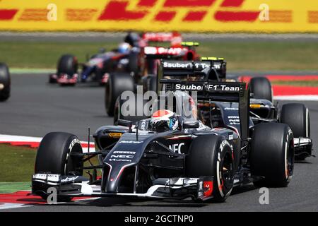 Adrian Sutil (GER) sauber C33. Großer Preis von Großbritannien, Sonntag, 6. Juli 2014. Silverstone, England. Stockfoto