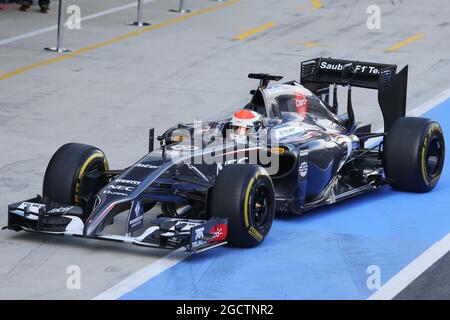 Adrian Sutil (GER) sauber C33. Formula One Testing, Dienstag, 8. Juli 2014. Silverstone, England. Stockfoto