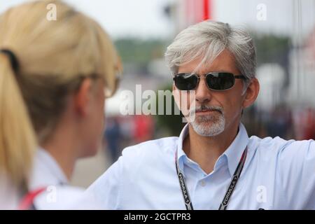 Damon Hill (GBR) Sky Sports Presenter. Großer Preis von Deutschland, Sonntag, 20. Juli 2014. Hockenheim, Deutschland. Stockfoto