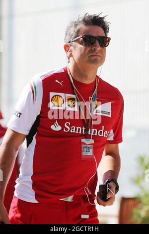 Marco Mattiacci (ITA) Ferrari Teamchef. Großer Preis von Ungarn, Samstag, 26. Juli 2014. Budapest, Ungarn. Stockfoto