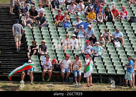 Lüfter. Großer Preis von Ungarn, Samstag, 26. Juli 2014. Budapest, Ungarn. Stockfoto