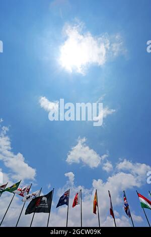 Alarmmeldungen. Großer Preis von Brasilien, Sonntag, 9. November 2014. Sao Paulo, Brasilien. Stockfoto