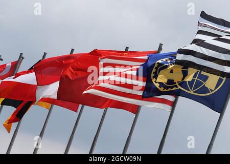 Alarmmeldungen. Großer Preis von Brasilien, Sonntag, 9. November 2014. Sao Paulo, Brasilien. Stockfoto