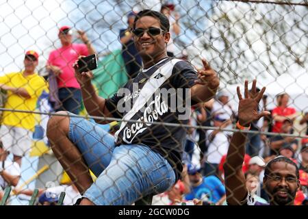Lüfter. Großer Preis von Brasilien, Sonntag, 9. November 2014. Sao Paulo, Brasilien. Stockfoto
