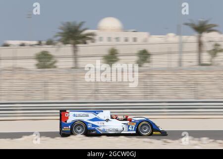 Matthew Howson (GBR) / Richard Bradley (GBR) / Alexandre Imperatori (SUI) #47 KCMG Oreca 03 Nissan. FIA-Langstrecken-Weltmeisterschaft, Runde 7, Freitag, 14. November 2014. Sakhir, Bahrain. Stockfoto