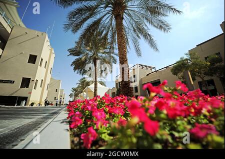 Das Fahrerlager. Abu Dhabi Grand Prix, Donnerstag, 20. November 2014. Yas Marina Circuit, Abu Dhabi, VAE. Stockfoto