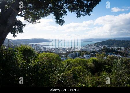 Die Stadt und der Hafen von Wellington von Brooklyn, Wellington, Nordinsel, Neuseeland aus gesehen Stockfoto