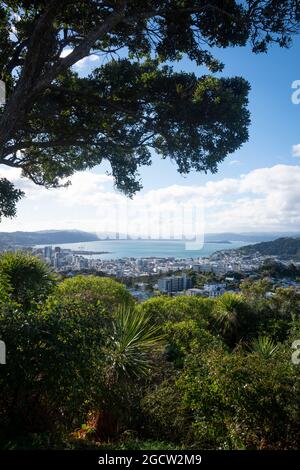 Die Stadt und der Hafen von Wellington von Brooklyn, Wellington, Nordinsel, Neuseeland aus gesehen Stockfoto