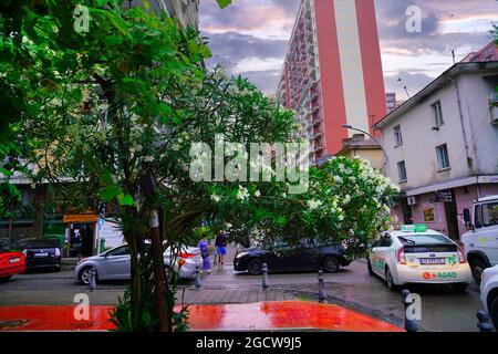 Batumi, Georgia - 30. Juni 2021: Gorgasali Street Stockfoto