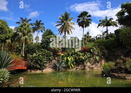 Guadeloupe - Karibik Urlaub. Botanischer Garten in Deshaies. Stockfoto