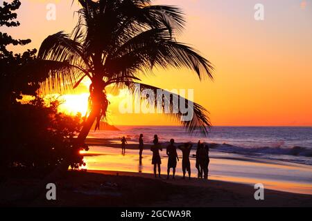 Sonnenuntergang auf Guadeloupe Sandstrand. Karibik Urlaub Landschaft. Perle Strand (Plage de la Perle). Stockfoto