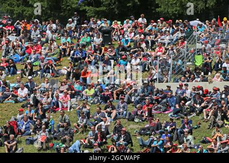 Lüfter. Großer Preis von Österreich, Sonntag, 21. Juni 2015. Spielberg, Österreich. Stockfoto