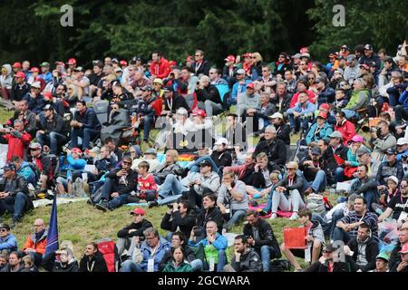 Lüfter. Großer Preis von Österreich, Sonntag, 21. Juni 2015. Spielberg, Österreich. Stockfoto