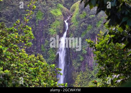 Wasserfall in Guadeloupe Karibik Insel. Chutes du Carbet, Wasserfall im Nationalpark Guadeloupe. Stockfoto