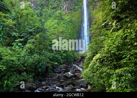 Wasserfall auf der karibischen Insel Guadeloupe. Chutes du Carbet, Wasserfall im Guadeloupe National Park. Naturwunder. Stockfoto