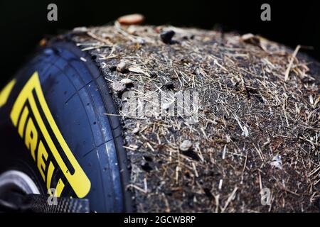 Pirelli Reifen von Daniel Ricciardo (AUS) Red Bull Racing bedeckt mit Gras und Kies. Großer Preis von Ungarn, Freitag, 24. Juli 2015. Budapest, Ungarn. Stockfoto