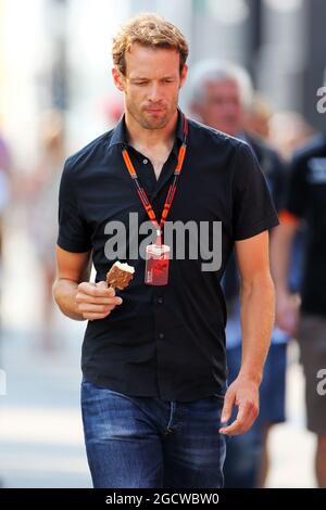 Alex Wurz (AUT) Williams Driver Mentor / GPDA Chairman. Großer Preis von Ungarn, Freitag, 24. Juli 2015. Budapest, Ungarn. Stockfoto