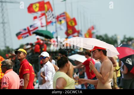 Lüfter. Großer Preis von Ungarn, Samstag, 25. Juli 2015. Budapest, Ungarn. Stockfoto