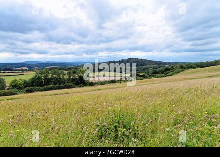 Der Blick von Newlands Corner nach Süden in Richtung Surrey, in der Nähe von Guildford England Stockfoto