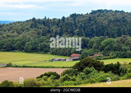 Der Blick von Newlands Corner auf die Landschaft von Surrey, in der Nähe von Guildford England Stockfoto