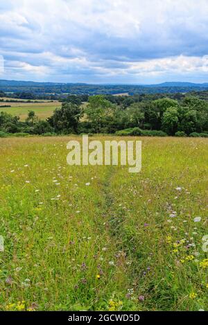 Der Blick von Newlands Corner nach Süden in Richtung Surrey, in der Nähe von Guildford England Stockfoto