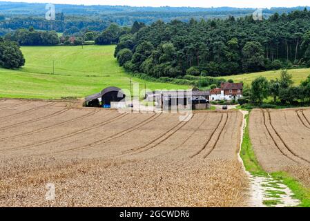 Der Blick von Newlands Corner nach Süden in Richtung Surrey, in der Nähe von Guildford England Stockfoto