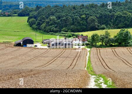 Der Blick von Newlands Corner nach Süden in Richtung Surrey, in der Nähe von Guildford England Stockfoto
