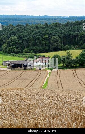 Der Blick von Newlands Corner nach Süden in Richtung Surrey, in der Nähe von Guildford England Stockfoto