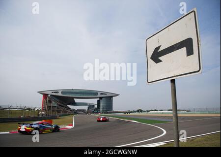 Davide Rigon (FRA) / James Calado (GBR) #71 AF Corse Ferrari F458 Italia. FIA-Langstrecken-Weltmeisterschaft, Runde 7, Samstag, 31. Oktober 2015. Shanghai, China. Stockfoto