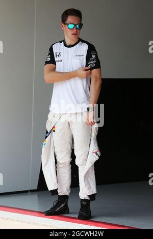 Stoffel Vandoorne (Bel) McLaren Test- und Reserveradfahrer. Großer Preis von Brasilien, Donnerstag, 12. November 2015. Sao Paulo, Brasilien. Stockfoto