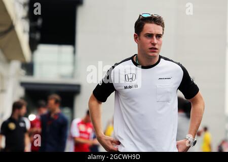 Stoffel Vandoorne (Bel) McLaren Test- und Reserveradfahrer. Großer Preis von Brasilien, Freitag, 13. November 2015. Sao Paulo, Brasilien. Stockfoto