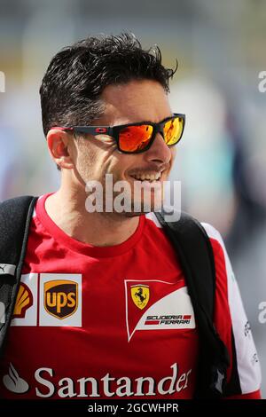 Giancarlo Fisichella (ITA) Ferrari Dritter Fahrer. Abu Dhabi Grand Prix, Freitag, 27. November 2015. Yas Marina Circuit, Abu Dhabi, VAE. Stockfoto