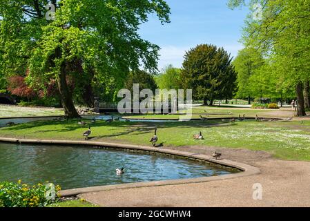 Der öffentliche Park Pavilion Gardens, Buxton, Derbyshire, England an einem sonnigen Tag im Frühsommer. Stockfoto