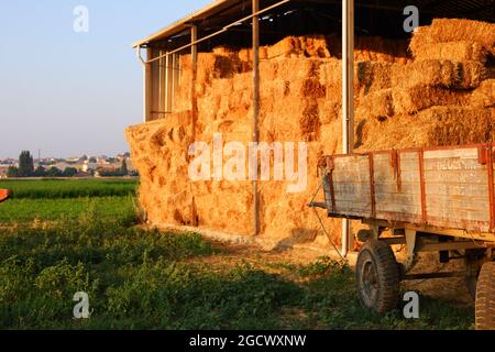 Heuballen am Heuboden und Traktoranhänger im Sommer an einem sonnigen Tag in der Nähe von grünem Gras Stockfoto