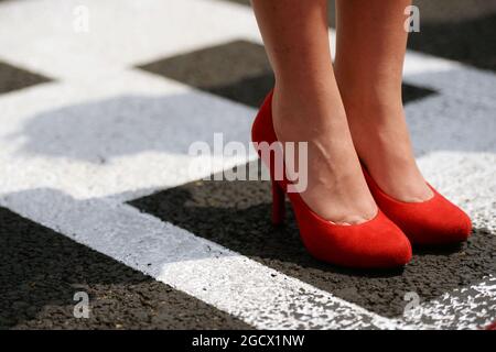Gittertes Mädchen. Großer Preis von Ungarn, Sonntag, 24. Juli 2016. Budapest, Ungarn. Stockfoto