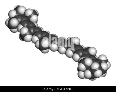 Beta-Carotin-Pigmentmolekül. 3D-Rendering. Atome werden repressen Stockfoto