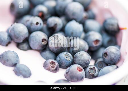 Schüssel oder Tasse mit weißem Joghurt oder Joghurt und frischen Bio-wilden reifen Blaubeeren, Nahaufnahme Stockfoto