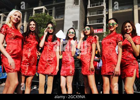 Grid-Mädchen. FIA-Langstrecken-Weltmeisterschaft, Runde 8, 6 Stunden von Shanghai. Sonntag, 6. November 2016. Shanghai, China. Stockfoto