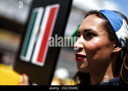 Gittertes Mädchen. Großer Preis von Spanien, Sonntag, 14. Mai 2017. Barcelona, Spanien. Stockfoto