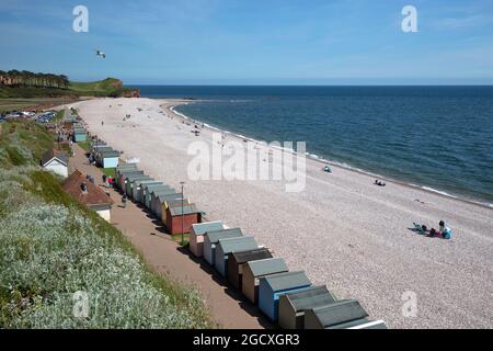 Blick auf Kiesstrand und Strandhütten, Budleigh Salterton, Jurassic Coast, Devon, England, Vereinigtes Königreich, Europa Stockfoto