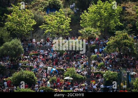 Fans auf dem Hügel. Großer Preis von Monaco, Sonntag, 28. Mai 2017. Monte Carlo, Monaco. Stockfoto