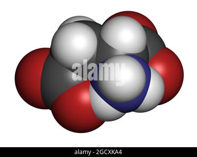 D-Asparaginsäure (D-Aspartat)-Aminosäuremolekül. 3D-Rendering. Stockfoto