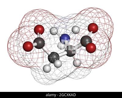 D-Asparaginsäure (D-Aspartat)-Aminosäuremolekül. 3D-Rendering. Stockfoto