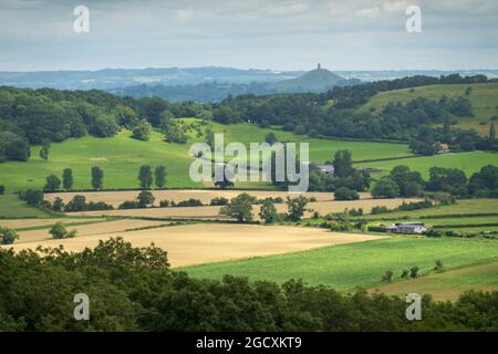 Blick auf das Glastonbury Tor über Ackerland von Lollover Hill, Dundon, Somerset, England, Vereinigtes Königreich, Europa Stockfoto